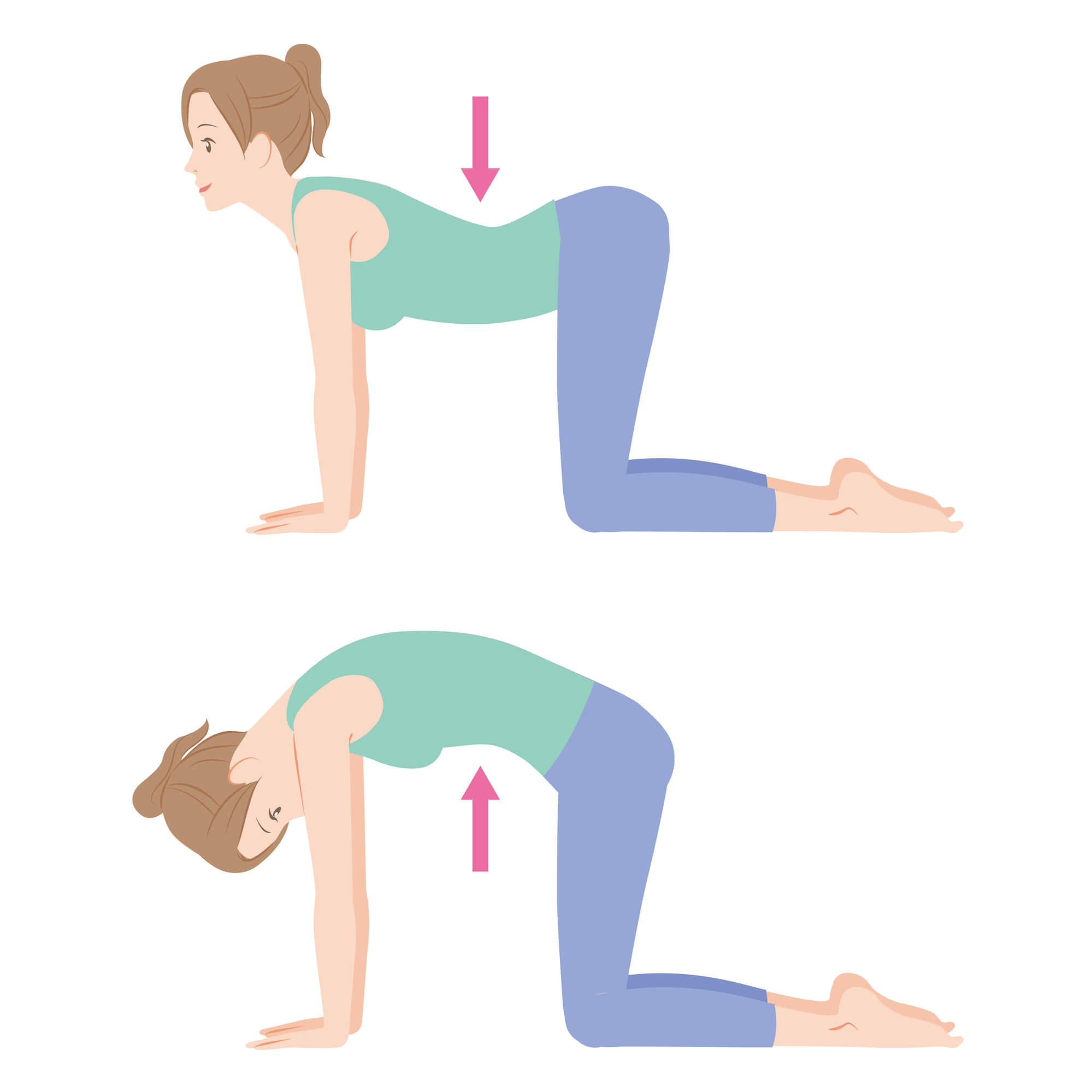 背中のコリを防ぐ猫のポーズ